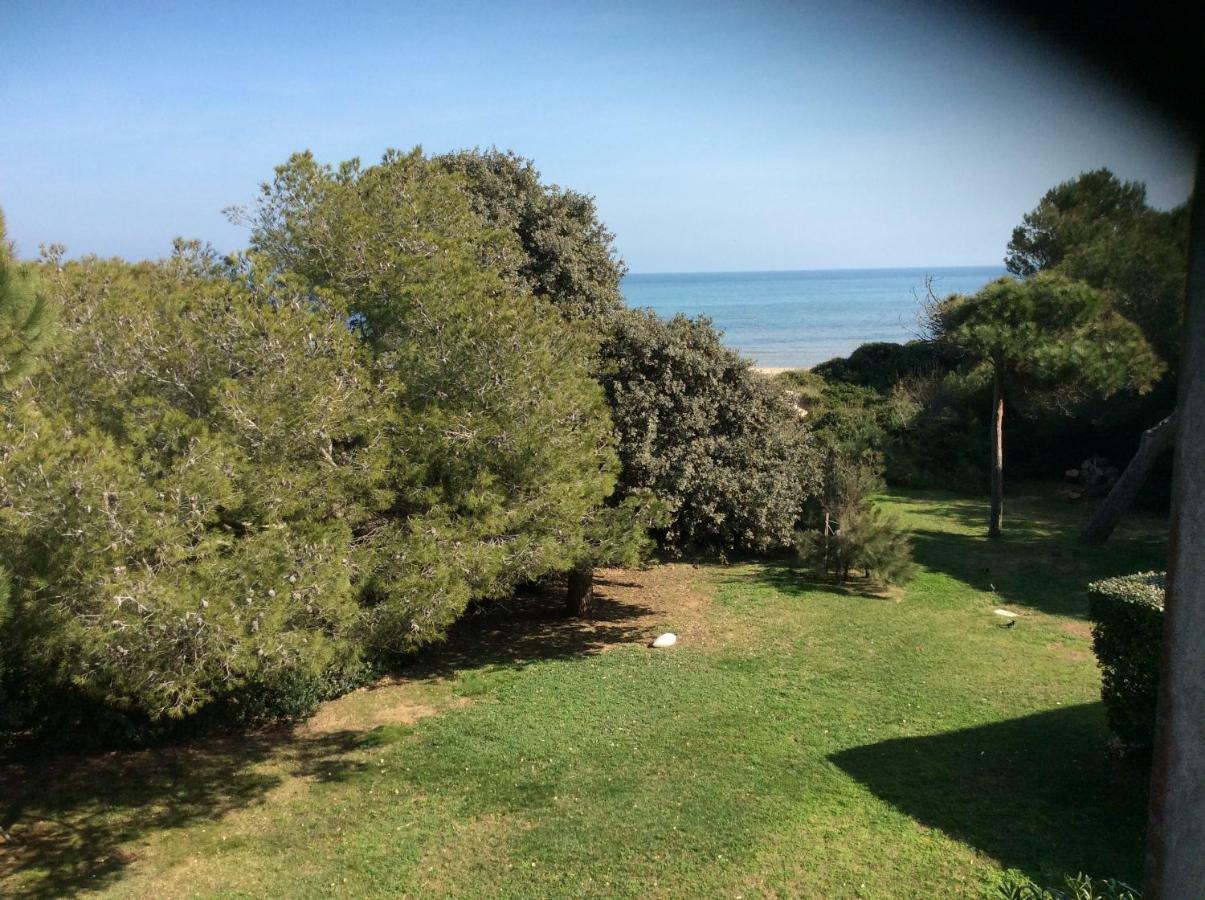 Entre Mer Et Piscine Hyeres Exterior photo
